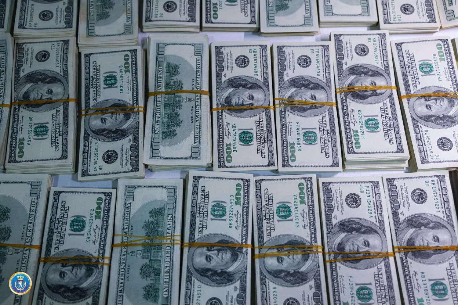 The case is being pursued under Articles 192(2a) and 194(2a, 3g) of Georgia’s Criminal Code, which carry prison sentences of 9 to 12 years