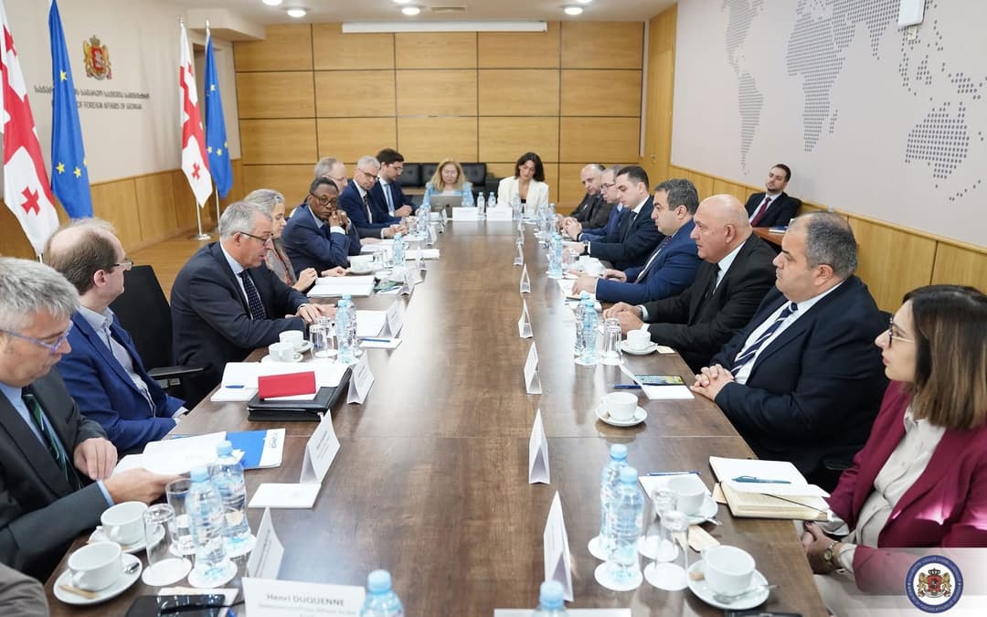 გიორგი ჯინჭარაძემ ჟენევის საერთაშორისო მოლაპარაკებების 65-ე რაუნდის მოსამზადებელ შეხვედრაში მიიღო მონაწილეობა