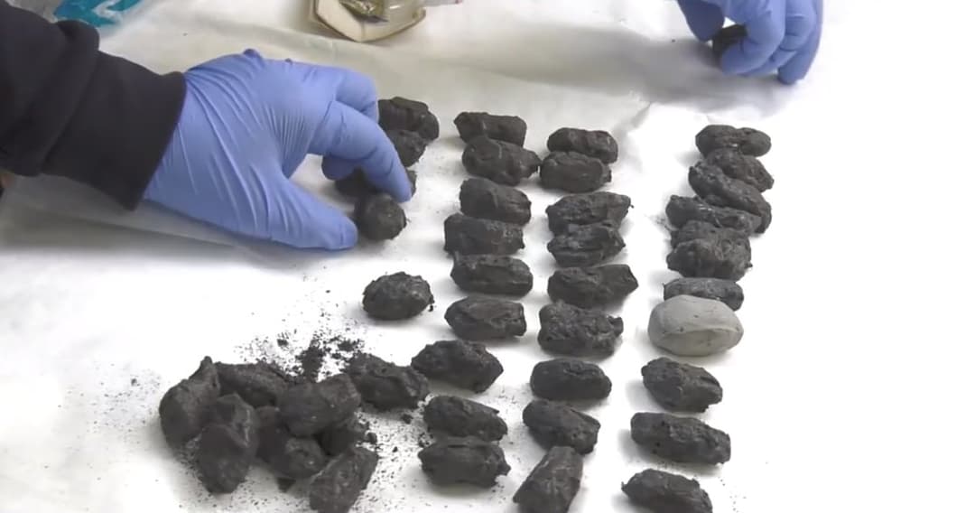 Two foreign nationals arrested in Georgia’s Adjara region for large-scale drug offences