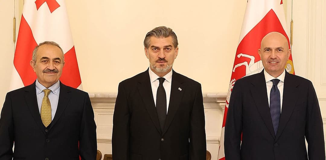 მიხეილ ყაველაშვილი ჩეხეთსა და გერმანიაში  საქართველოს ახლად დანიშნულ ელჩებს შეხვდა