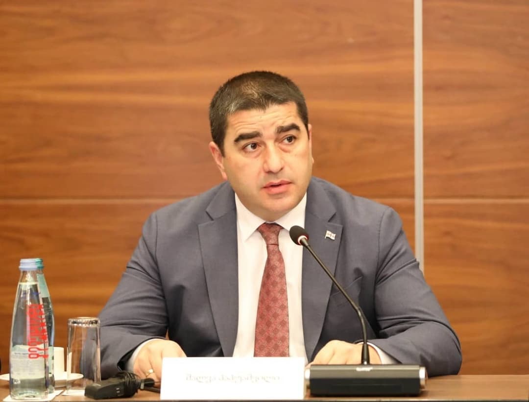 Speaker Papuashvili accuses EU Ambassador of supporting ‘violent activist’ linked to street protests