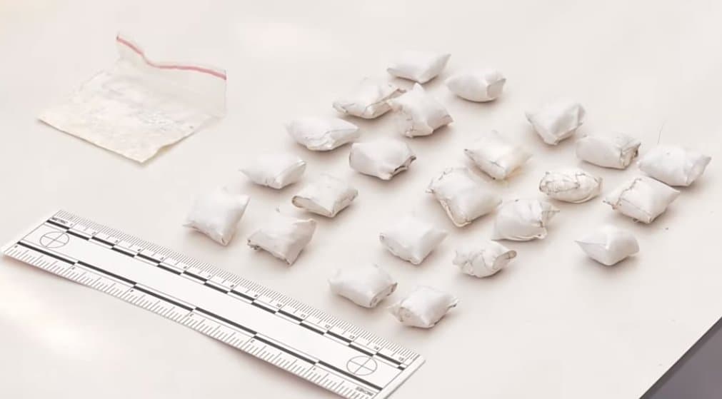 Two foreign nationals arrested in Georgia’s Adjara region in connection with large-scale drug seizure