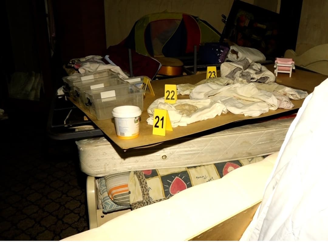 Georgian police seize large quantities of drugs from clandestine laboratory, two arrested