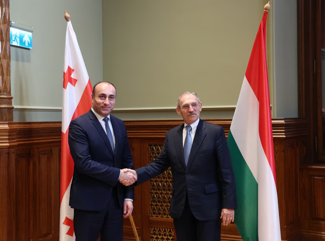 Georgian, Hungarian Interior Ministers agree to deepen police cooperation