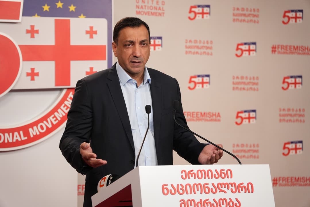 Ruling party cannot defeat idea of European Georgia, UNM leader 