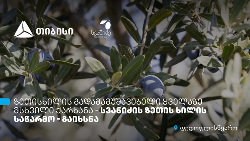 თიბისის მხარდაჭერით, დედოფლისწყაროში „სვანიძის ზეთისხილის“ საწარმო გაიხსნა