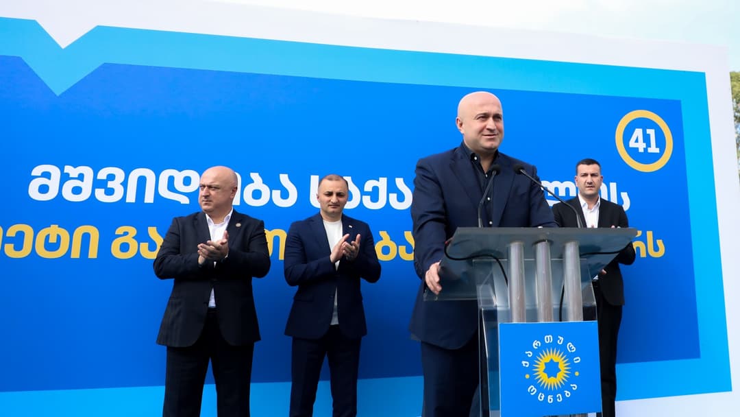 სულხან თამაზაშვილი ხელვაჩაურის მუნიციპალიტეტში მხარდამჭერებს შეხვდა