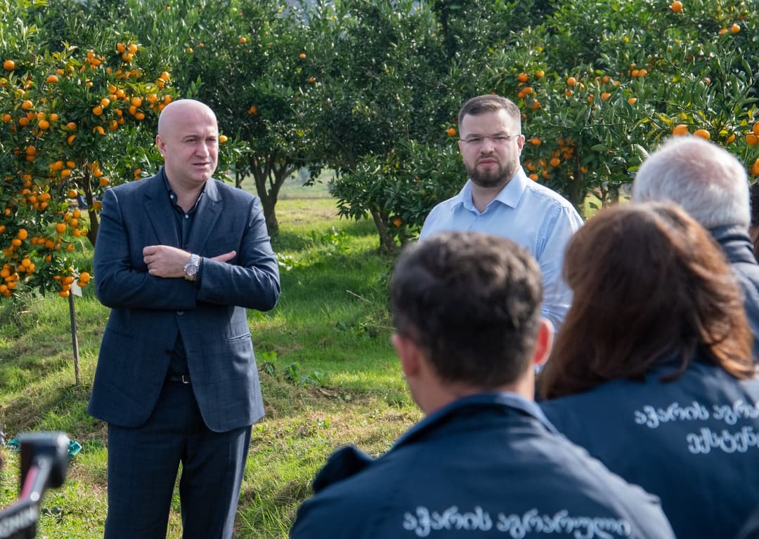 სულხან თამაზაშვილი მეციტრუსე ფერმერებს შეხვდა