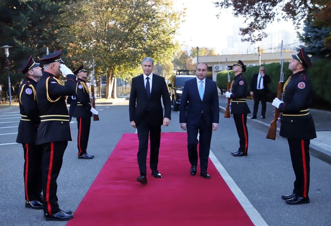 გეკა გელაძე აზერბაიჯანელ კოლეგას მასპინძლობს