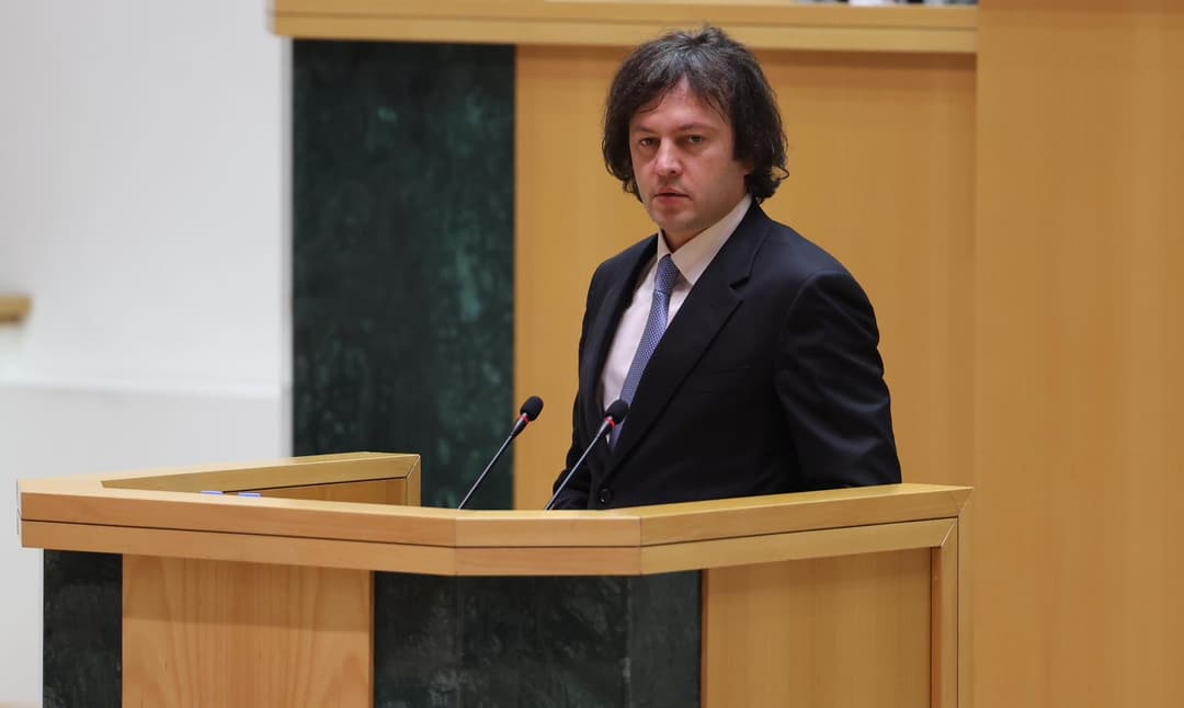 ირაკლი კობახიძე - სახელმწიფომ მაქსიმალურად უნდა დააზღვიოს საკუთარი მოქალაქეები, განსაკუთრებით ახალგაზრდები