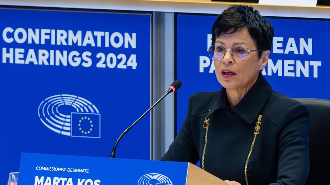 მარტა კოსი - საქართველოს შემთხვევაში, კანდიდატის სტატუსისგან მხოლოდ სახელი დარჩა