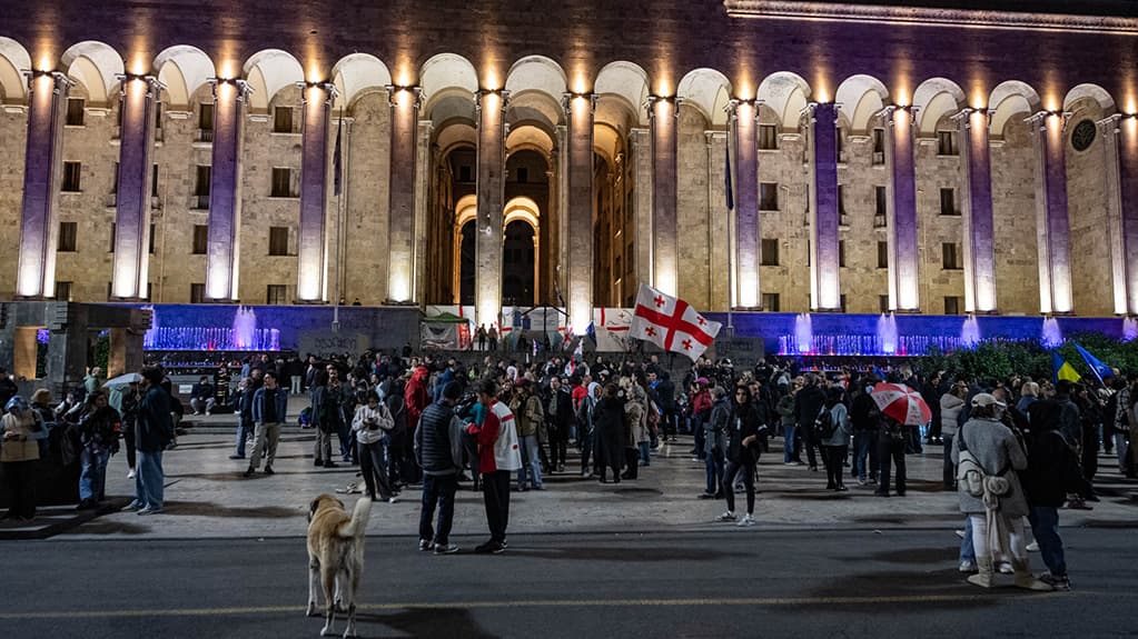 29 people detained in Georgian capital over past five days of protests
