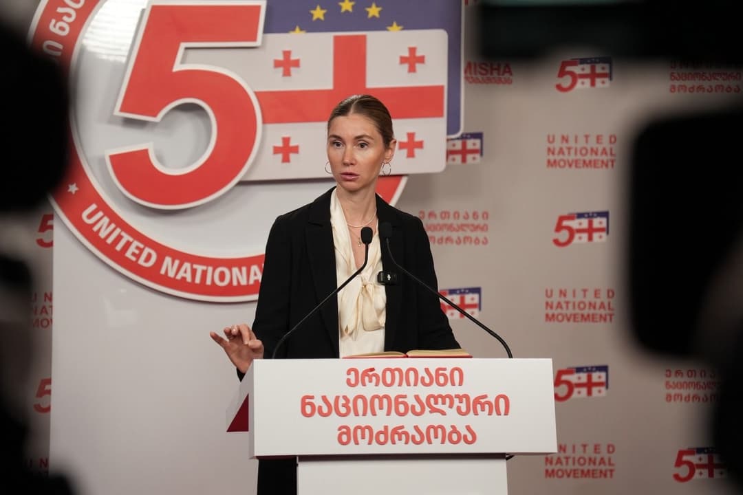 Opposition leader urges EU to target sanctions at Georgian ruling elite, not citizens