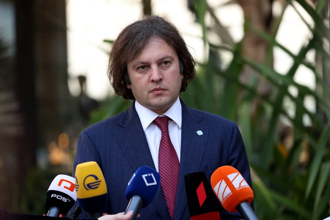 Georgian PM: protests of 100-150 people follow same script abroad and are planned from outside