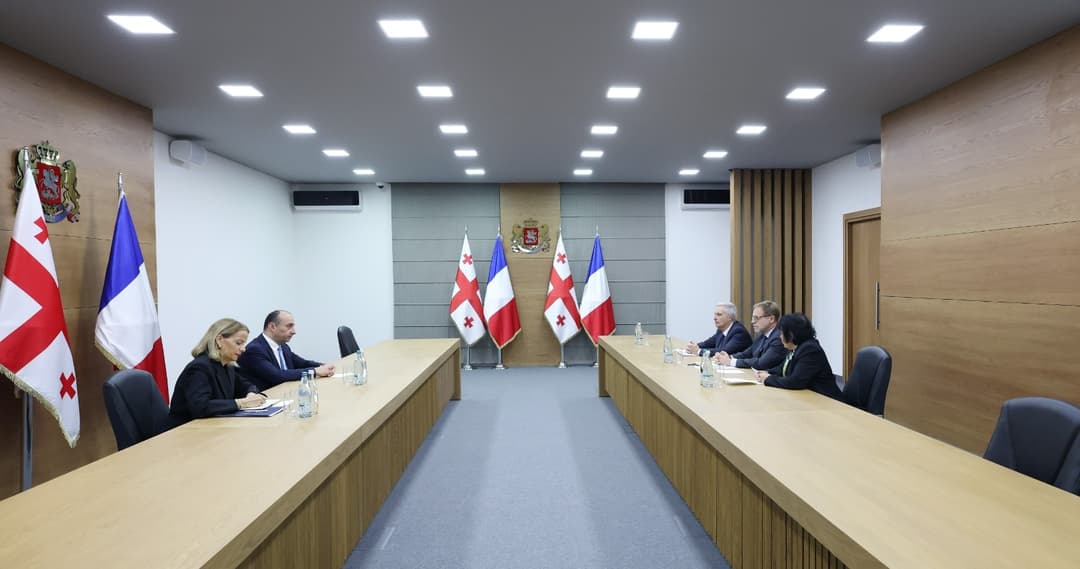 Georgia’s Interior Minister meets new French Ambassador for introductory talks