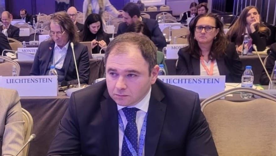 Georgian Foreign Relations Committee Chair highlights rights violations in occupied territories at OSCE PA