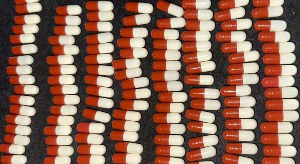 Two Turkish citizens arrested in Georgia for large-scale possession of psychotropic substances