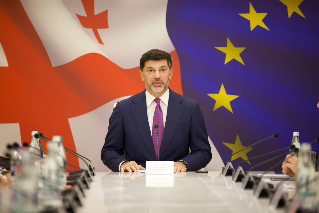 კახა კალაძე - დედაქალაქში საახალწლო ილუმინაციები 12 დეკემბერს საზეიმოდ აინთება