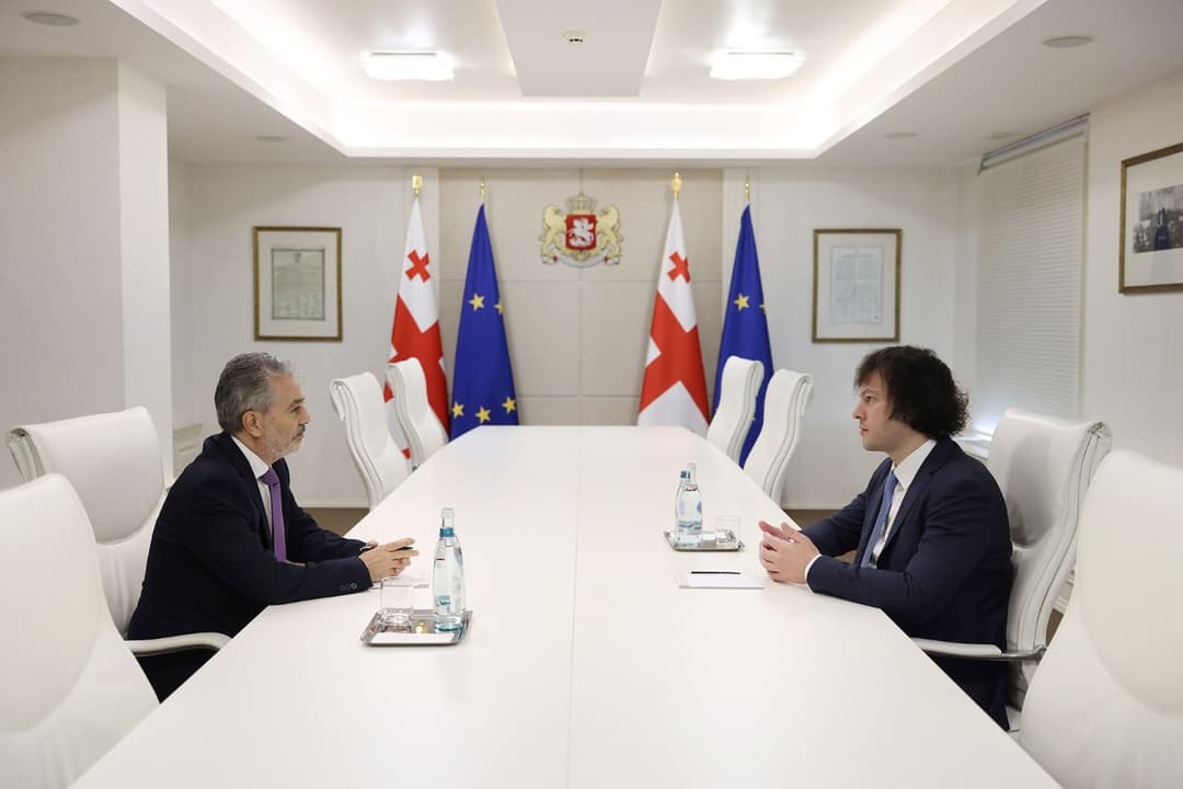 ირაკლი კობახიძე საქართველოში ისრაელის სახელმწიფოს ელჩს შეხვდა