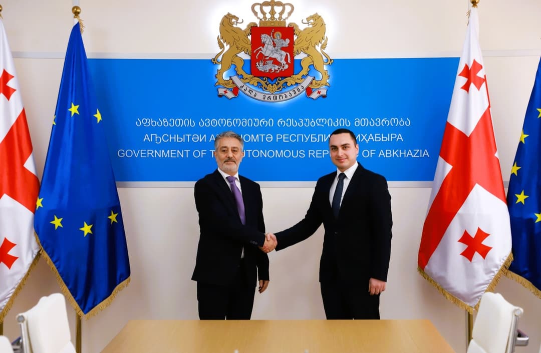 გიორგი ჯინჭარაძე საქართველოში ისრაელის საგანგებო და სრულუფლებიან ელჩს შეხვდა