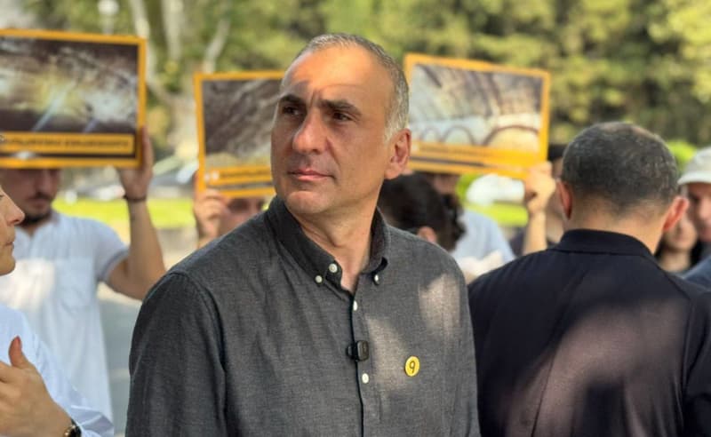 Interior Ministry: Elisashvili attempted to set fire to Tbilisi City Court registry, sustained injuries during arrest