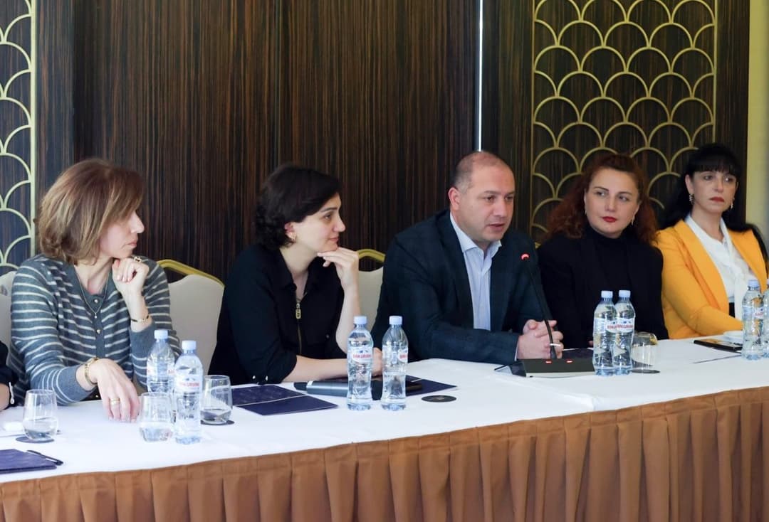 საგნობრივი სტანდარტების რევიზიასთან დაკავშირებით შემაჯამებელი სამუშაო შეხვედრები დაიწყო