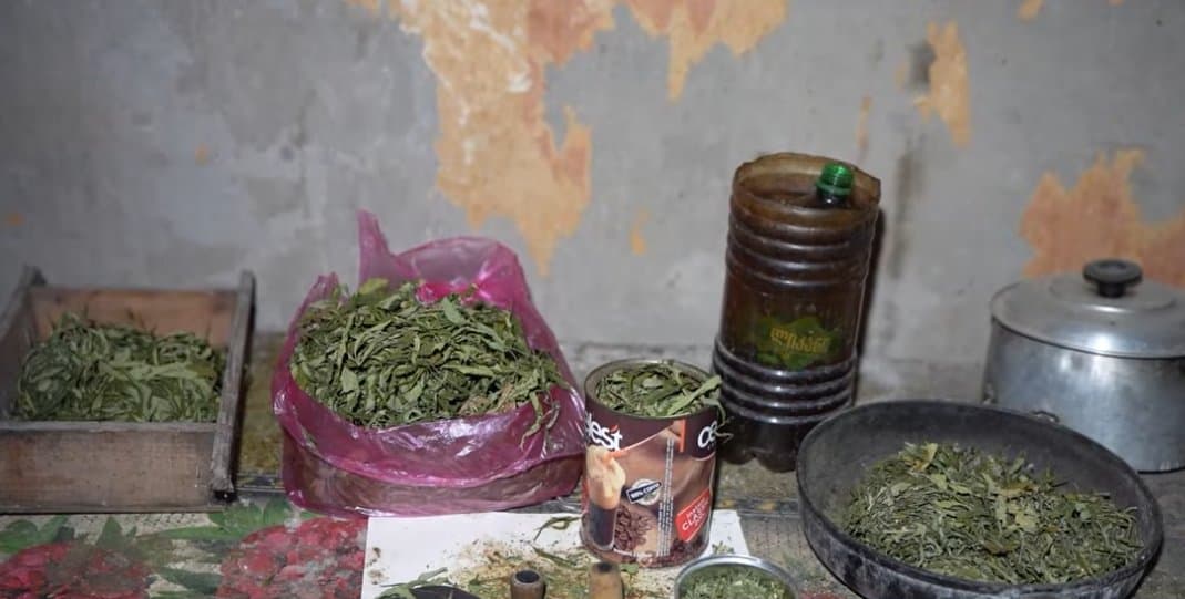 სამეგრელოს პოლიციამ განსაკუთრებით დიდი ოდენობით ნარკოტიკი ამოიღო - დაკავებულია ერთი პირი