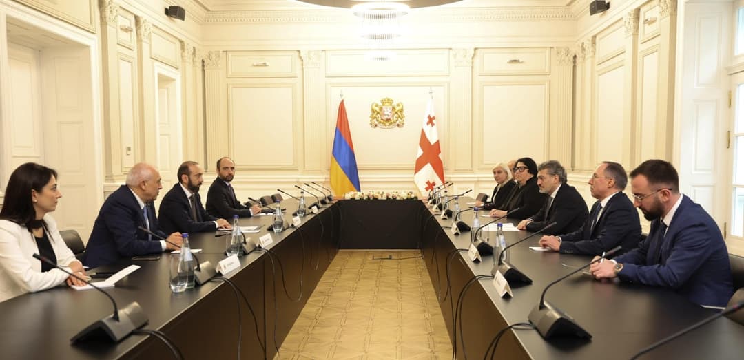 მიხეილ ყაველაშვილი სომხეთის რესპუბლიკის საგარეო საქმეთა მინისტრს შეხვდა