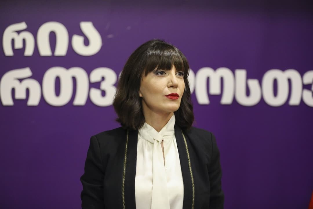 თამარ კეკენაძე - პოლიტიკური პასუხისმგებლობის საკითხი უნდა დადგეს, მათ შორის, ე.წ. სეირის მაყურებლებისთვის, ვგულისხმობ სალომე ზურაბიშვილს