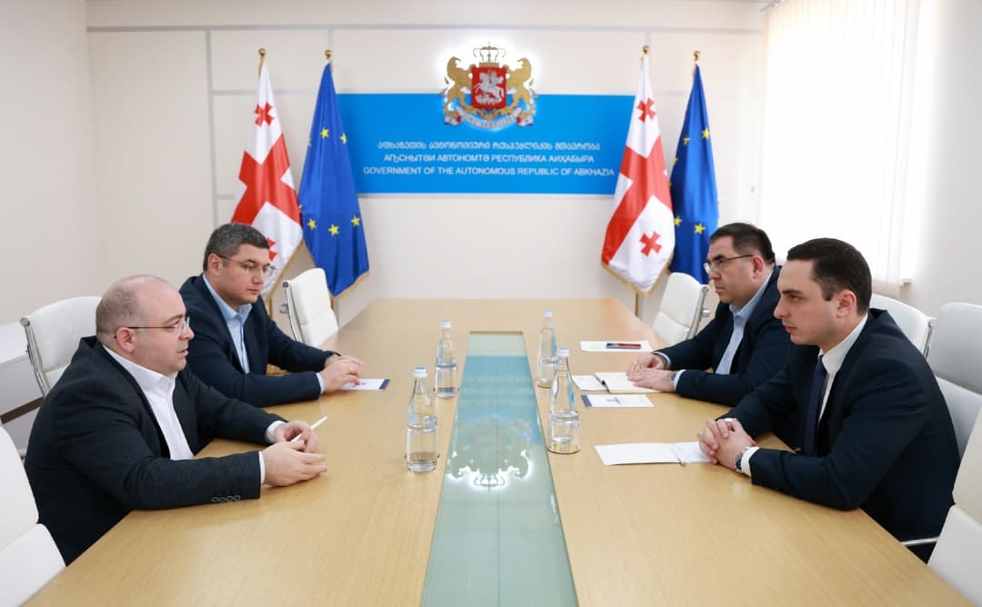 გიორგი ჯინჭარაძე დევნილთა, ეკომიგრანტთა და საარსებო წყაროებით უზრუნველყოფის სააგენტოს დირექტორს შეხვდა