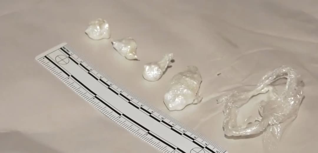 Georgian police detain foreign nationals in large-scale drug operation