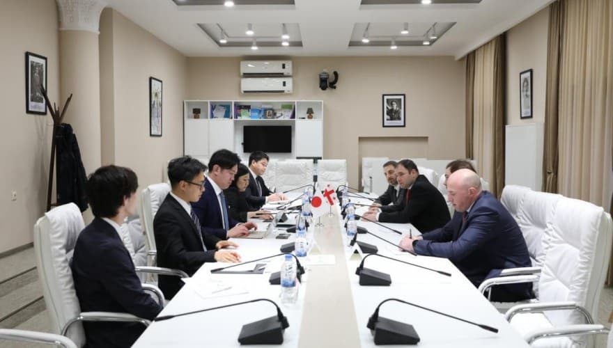 Georgian, Japanese lawmakers discuss expanding parliamentary cooperation, joint projects