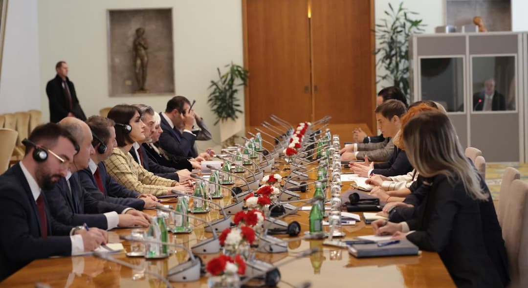 მიხეილ ყაველაშვილი სერბეთის რესპუბლიკის ეროვნული კრების თავმჯდომარეს შეხვდა