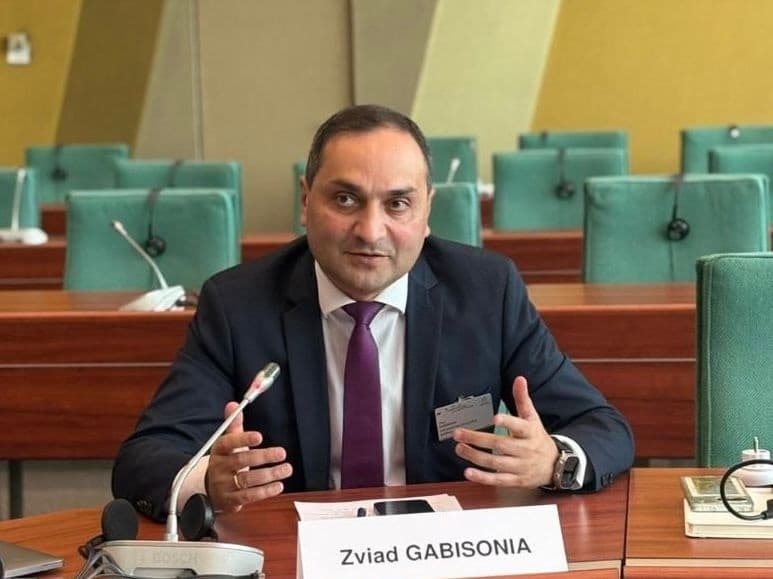 ზვიად გაბისონია ხელოვნური ინტელექტისა და განათლების ექსპერტთა კომიტეტის წევრად აირჩიეს