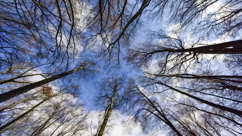 27-29 იანვარს მოსალოდნელი ამინდი საქართველოში