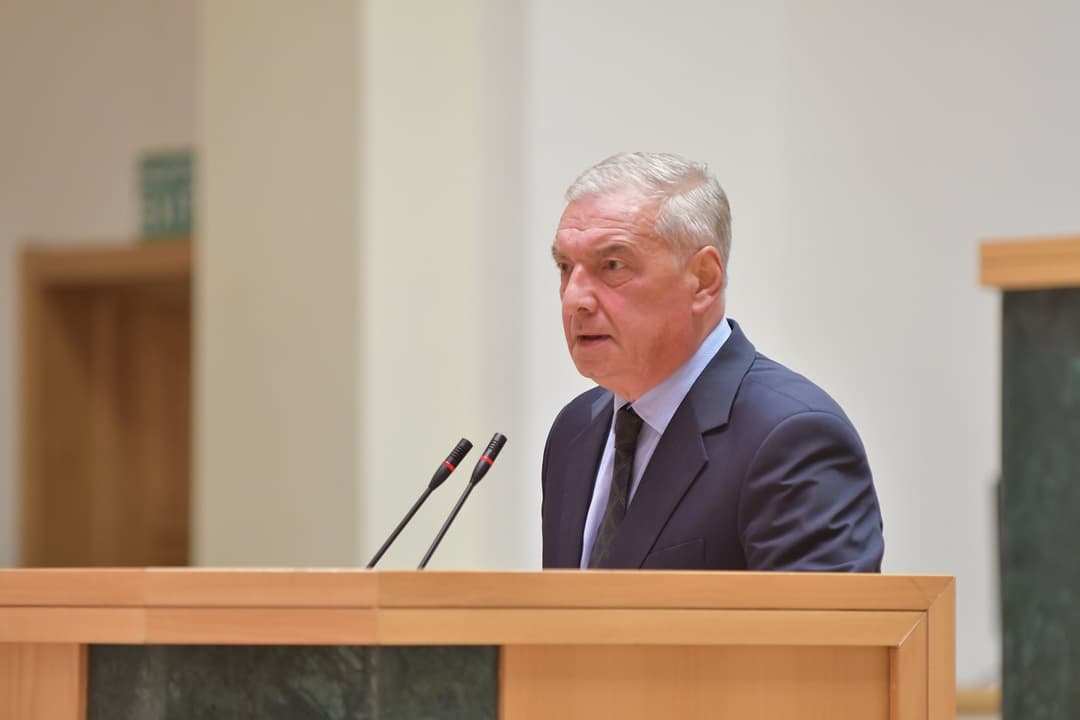 Vice Speaker Volski: Georgia maintains stability, strong economic growth despite challenges