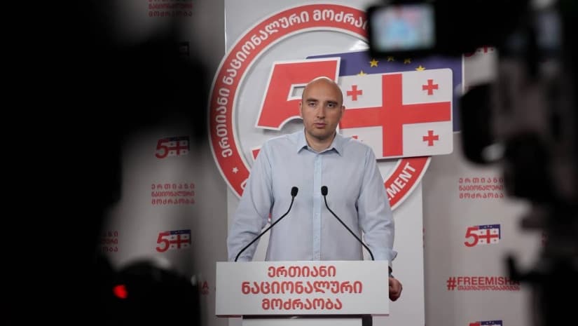 US visa suspension major blow to Georgia’s national interests, UNM leader 