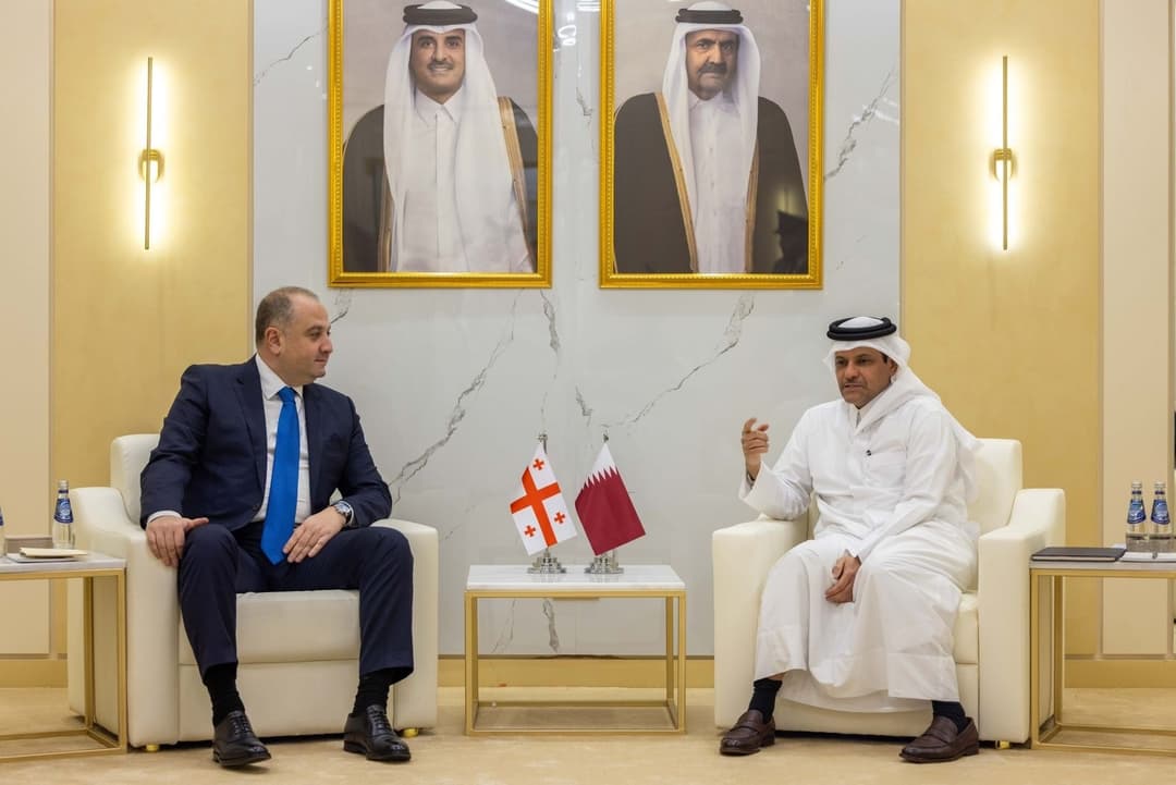 Georgian defence minister meets Qatari counterpart in Doha