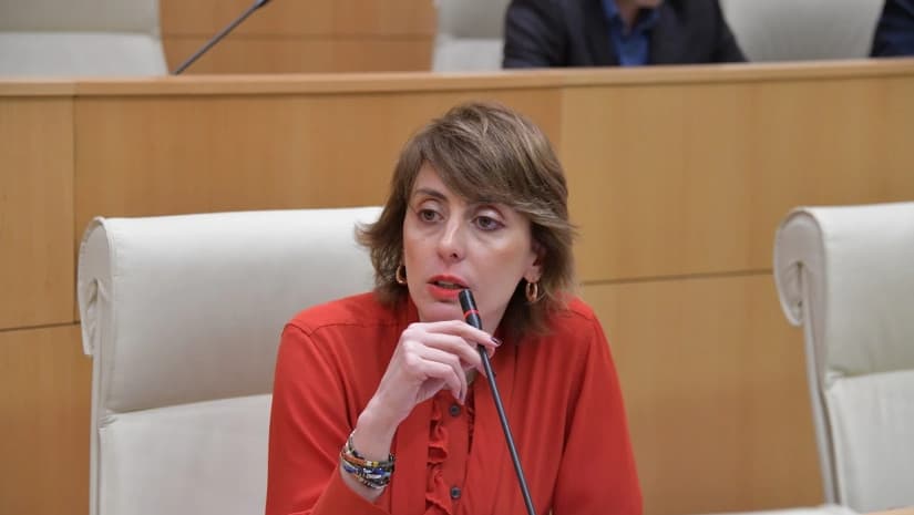 UNM’s Dekanoidze says Ivanishvili is in ‘genuine isolation’