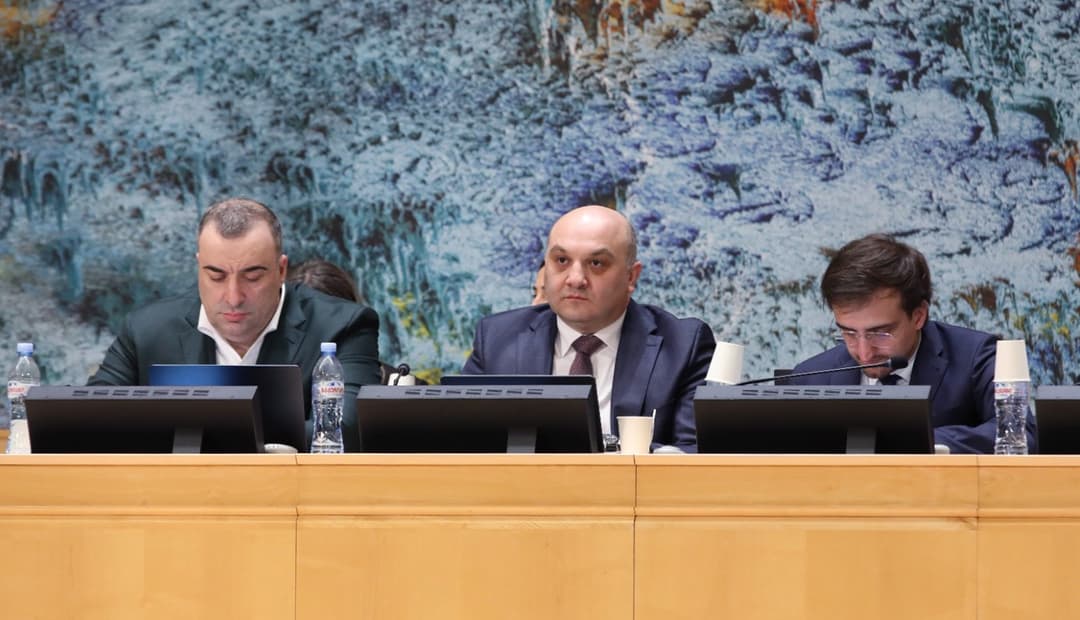 Deputy Interior Minister presents Georgia’s human rights report at UN council