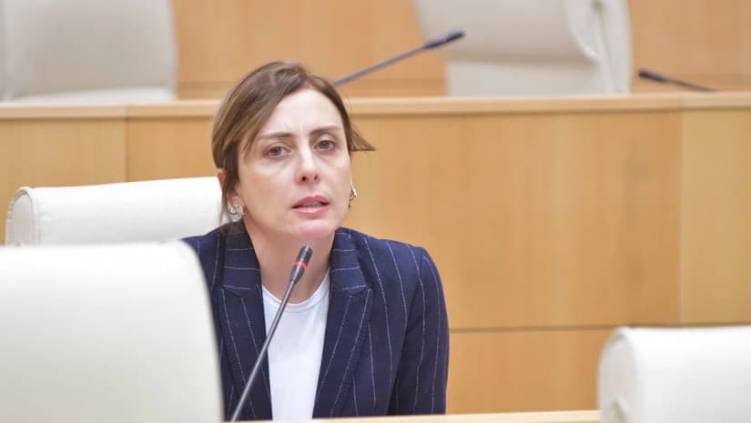 Ukrainian ambassador’s presence in Georgia vital, opposition leader 