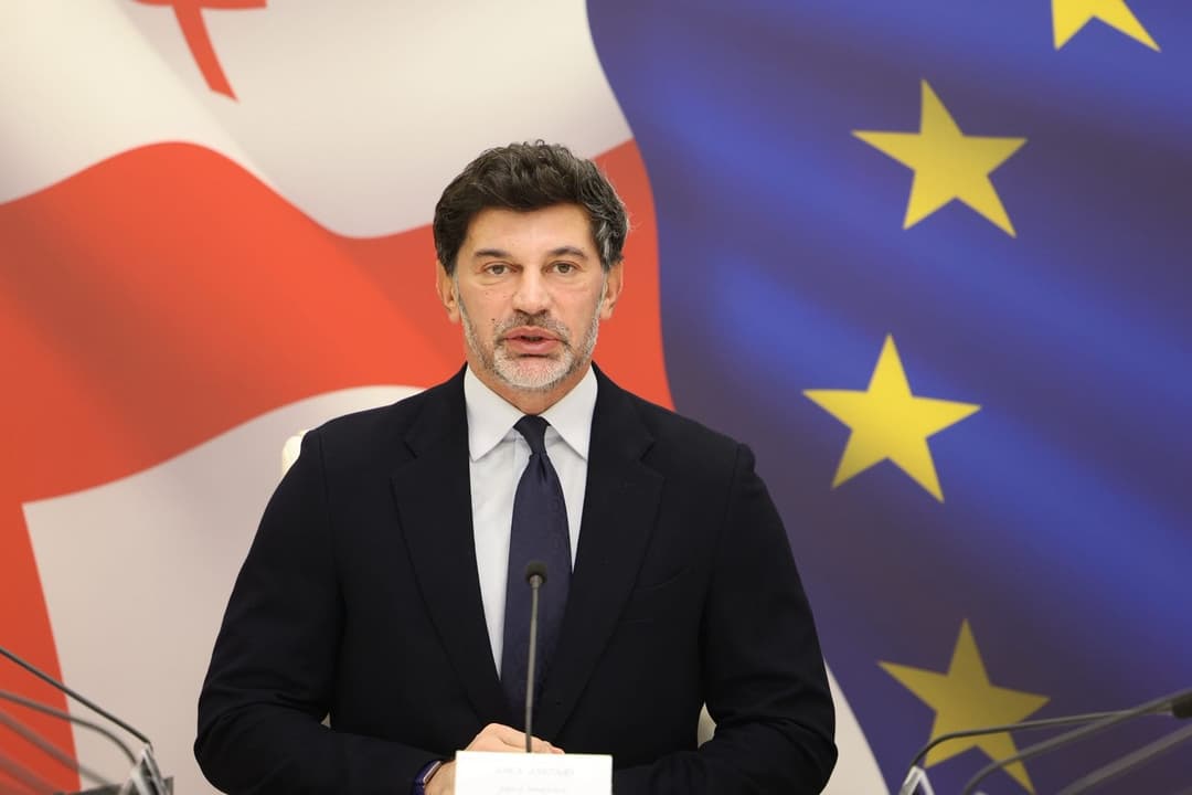 კახა კალაძე - ადმინისტრაციული საჩივრის ფარგლებში მიღებული გადაწყვეტილების ჩაუბარებლობის შემთხვევაში, ის გამოქვეყნდება, 30-ე დღეს კი ჩაბარებულად ჩაითვლება