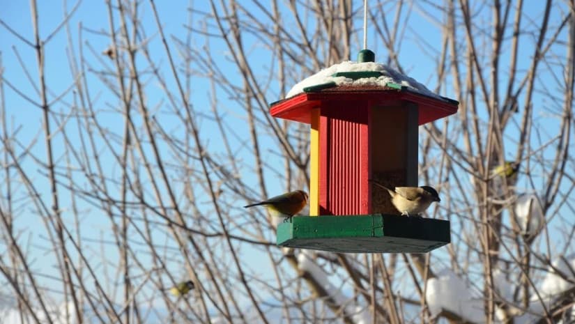 Frontnews image description