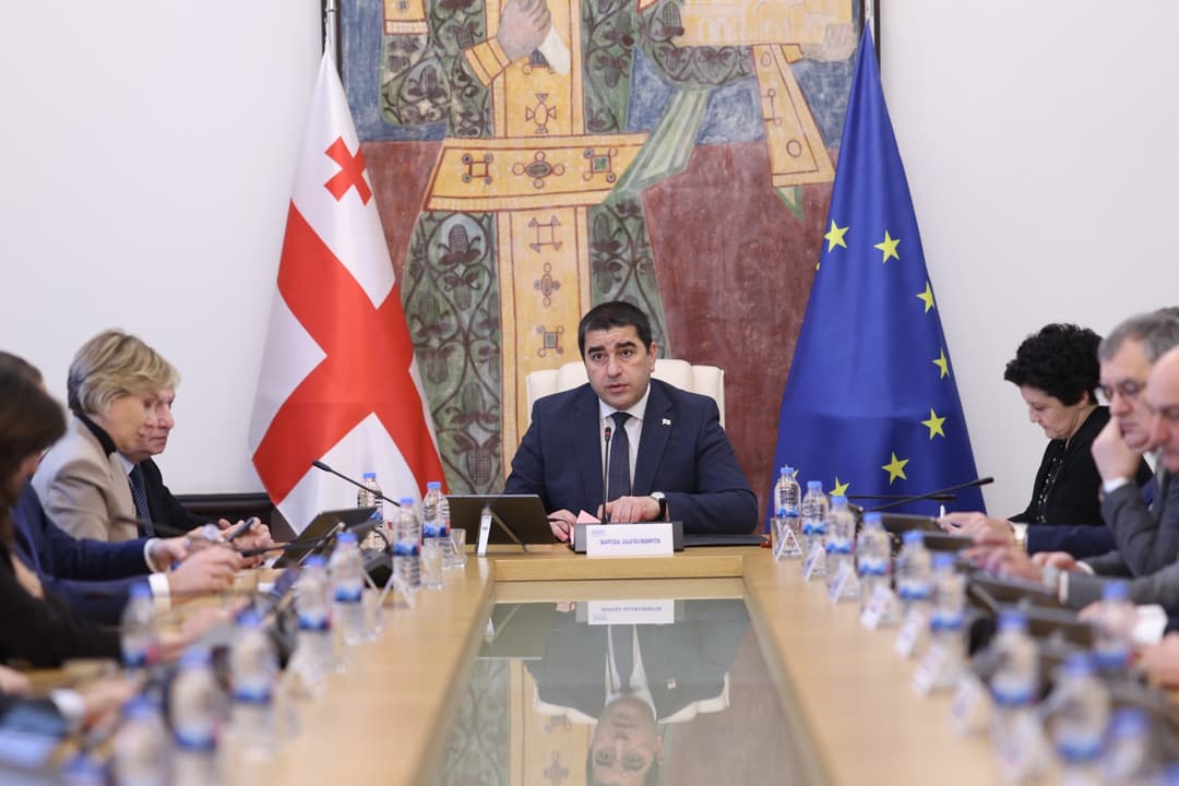 პარლამენტი მიმდინარე სასესიო კვირაში მიხეილ ყაველაშვილს, ირაკლი კობახიძეს და კახაბერ გულედანს მოუსმენს