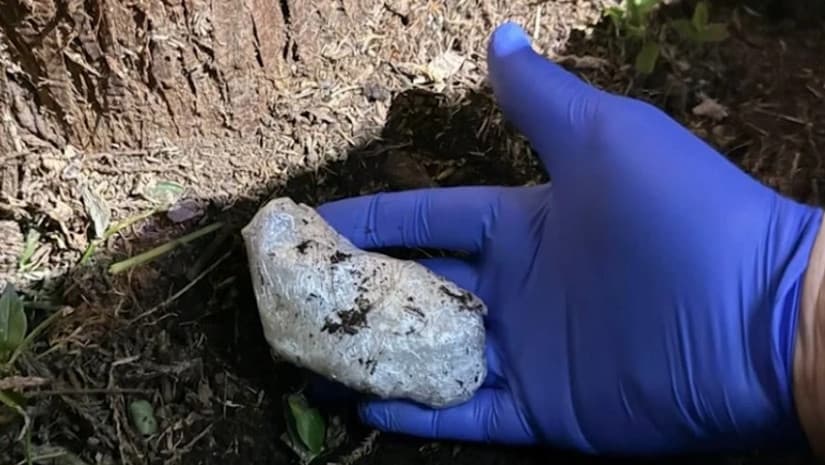 აჭარაში განსაკუთრებით დიდი ოდენობით ნარკოტიკი ამოიღეს, დაკავებულია რუსეთის მოქალაქე