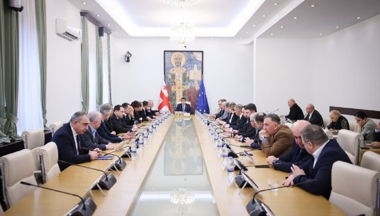 Papuashvili noted the Procedural Issues Committee will determine the number of commission members as well as quotas for parliamentary factions and political groups