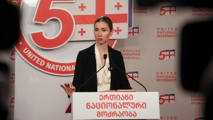 თინა ბოკუჩავა - ბოლოდროინდელი ე.წ. კანონები, ვერ ჩაითვლება კანონად და ვერ იქნება ქვეყნისთვის სასიკეთო