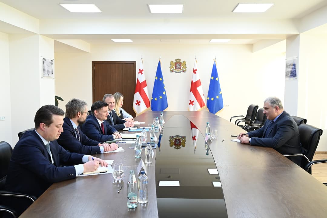 მიხეილ სარჯველაძე საქართველოში გაეროს მუდმივ კოორდინატორს შეხვდა