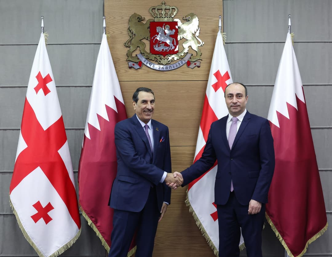 Georgian interior minister meets newly appointed Qatari ambassador