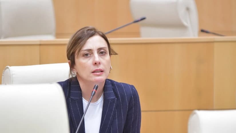 Khatia Dekanoidze noted that, in the context of human rights, only Russia has praised Georgia